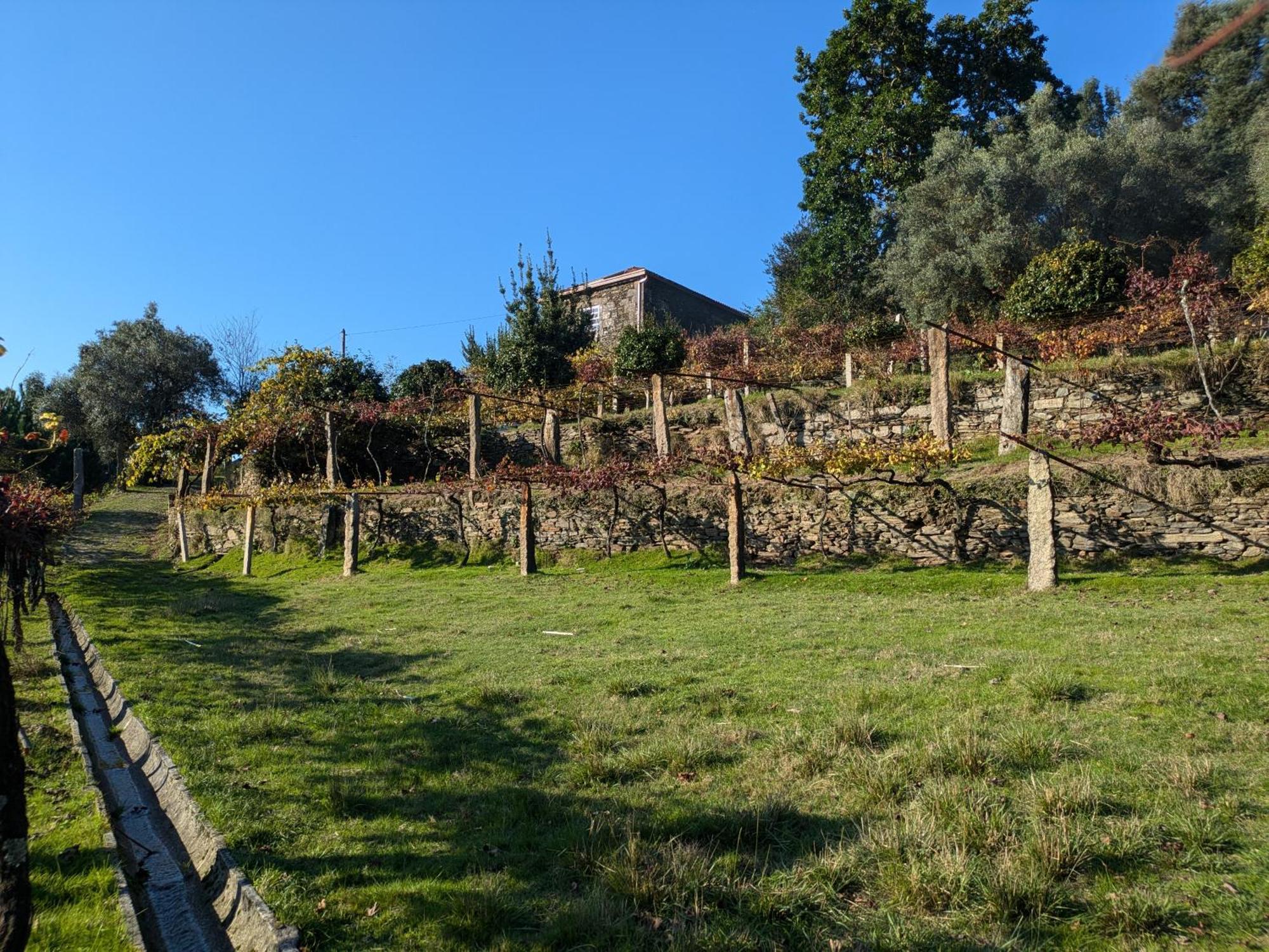 Casa Do Valo Villa Amonde Eksteriør bilde